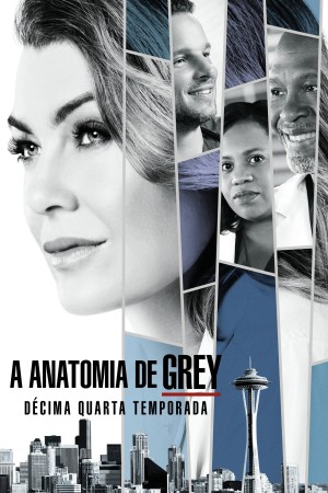 Ca Phẫu Thuật Của Grey (Phần 14) - Grey's Anatomy (Season 14)