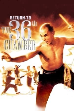 Trở Lại Thiếu Lâm Tam Thập Lục Phòng - Return to the 36th Chamber