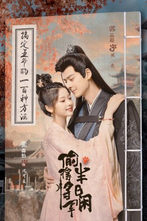 Trộm Được Tướng Quân Nửa Ngày Nhàn - The Substitute Princess's Love