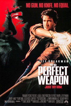 Vũ Khí Hoàn Hảo - The Perfect Weapon