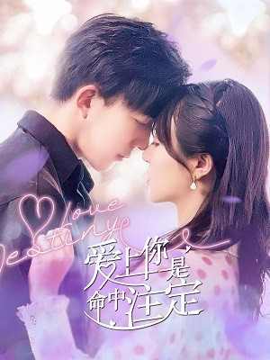 Yêu Em Là Định Mệnh - Love Destiny